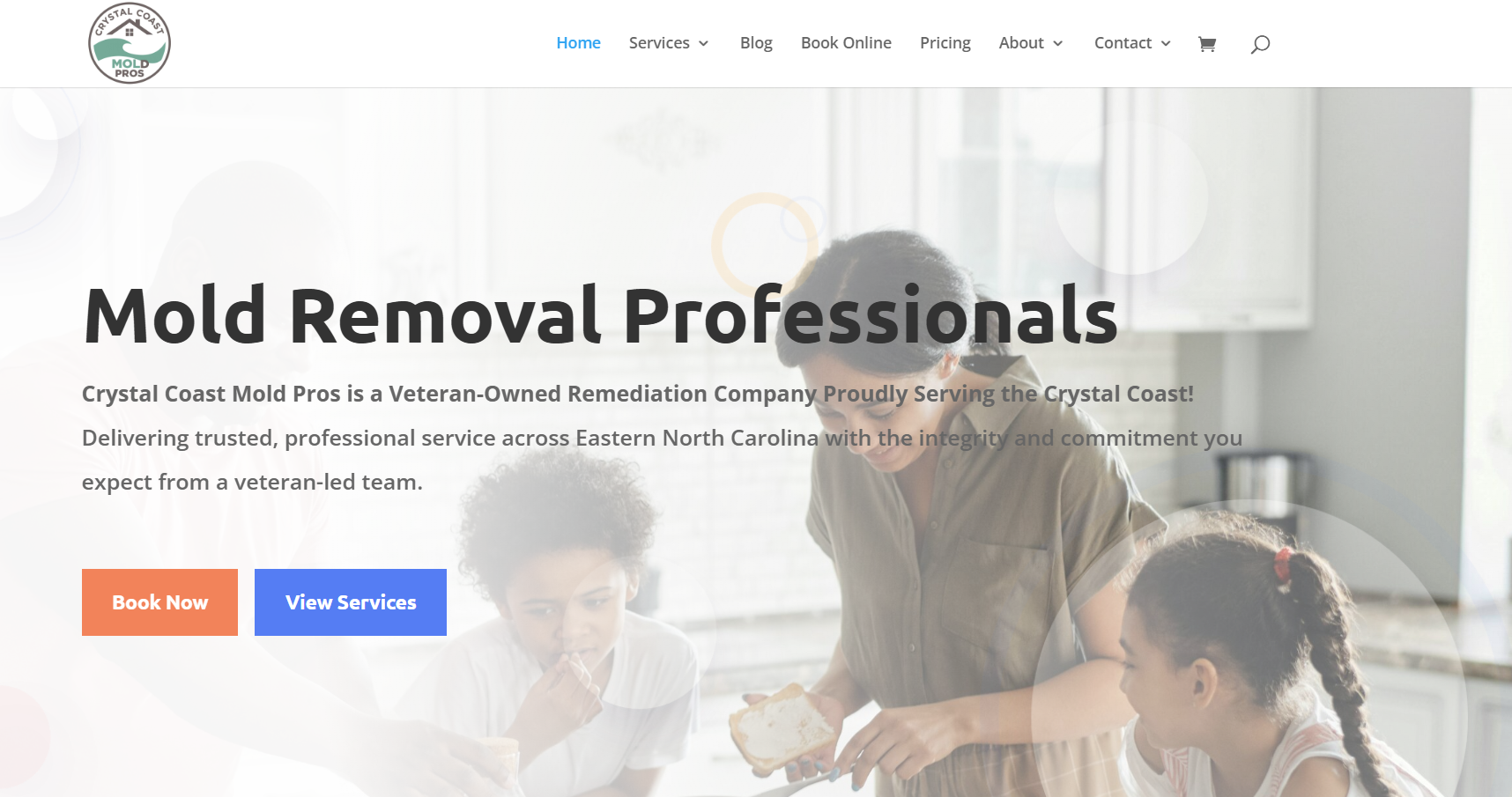 Crystal Cost Mold Pro